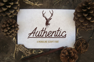 Authentic: A Versatile Script for Creative Projects