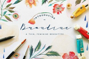 Brandine: A Feminine Typeface for Elegant Publishing