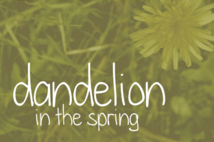 Dandelion in the Spring: A Designer’s Practical Review