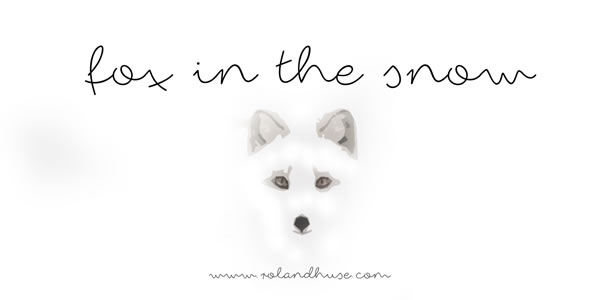 Fox in the Snow Font: Elevating Small Business Branding