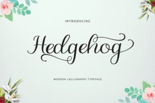 Hedgehog Font: A Script Typeface for Small Business Branding