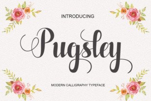 Pugsley Font: A Handwritten Typeface for Organic Branding