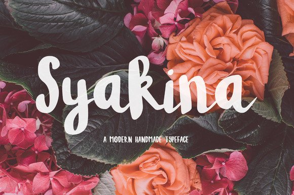 Syakina Font: Modern Handwritten Typography for Web Design