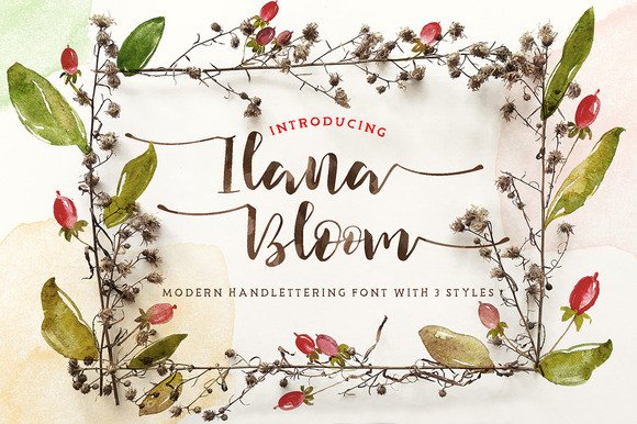 Transform Your Brand with Ilana Bloom: A Stylish Script Font